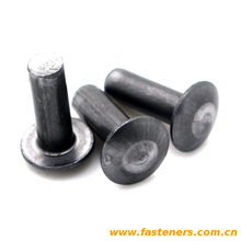 BS4620 Metric Cold Forged Universal Head Rivets