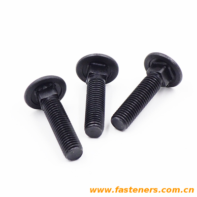 GB/T14 Cup head square neck bolts with large head carriage bolt